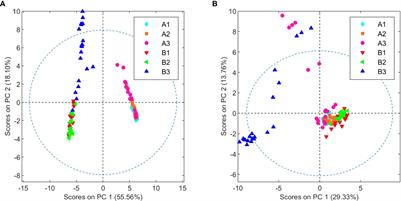Beyond cannabinoids: Application of NMR-based metabolomics for the assessment of Cannabis sativa L. crop health